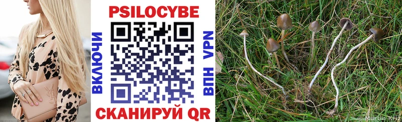 Галлюциногенные грибы Cubensis Гремячинск