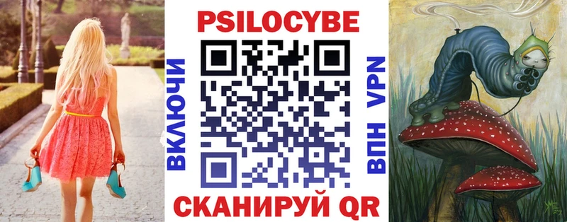 Псилоцибиновые грибы мицелий  купить закладку  Гремячинск 
